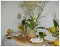 /album/galeria-de-fotos-coffee-break-e-jantares/bbbanner-409-jpg/